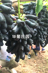 QPQ井式熱處理爐